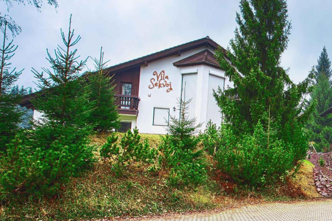 Holiday Home In Harrachov 33511 Zewnętrze zdjęcie